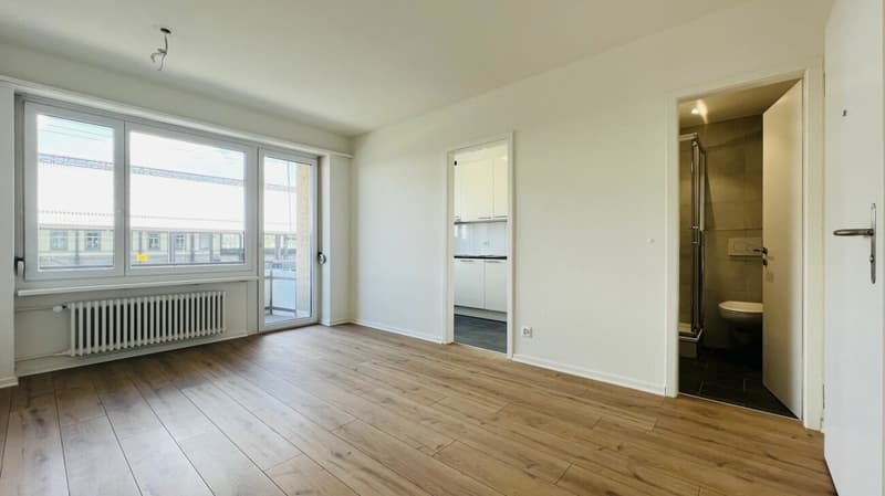 Neuwertige 2,5-Zimmerwohnung mit Balkon und Keller direkt am Bahnhof (1053) (3)