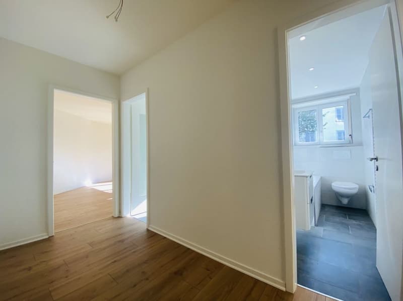Zweitbezug 2.5-Zimmer mit Balkon und Keller (1012) (3)
