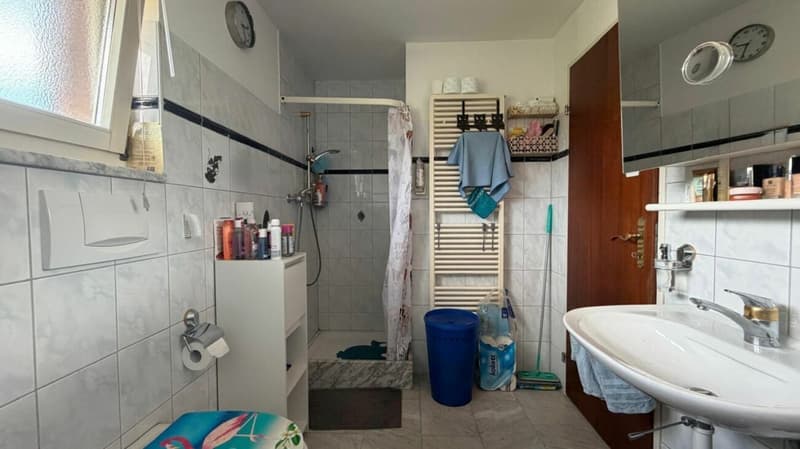5½-Zimmer-Doppelhaushälfte mit sonnigem Garten an begehrter Wohnlage (15)