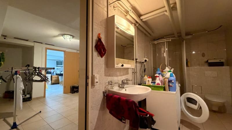 5½-Zimmer-Doppelhaushälfte mit sonnigem Garten an begehrter Wohnlage (17)