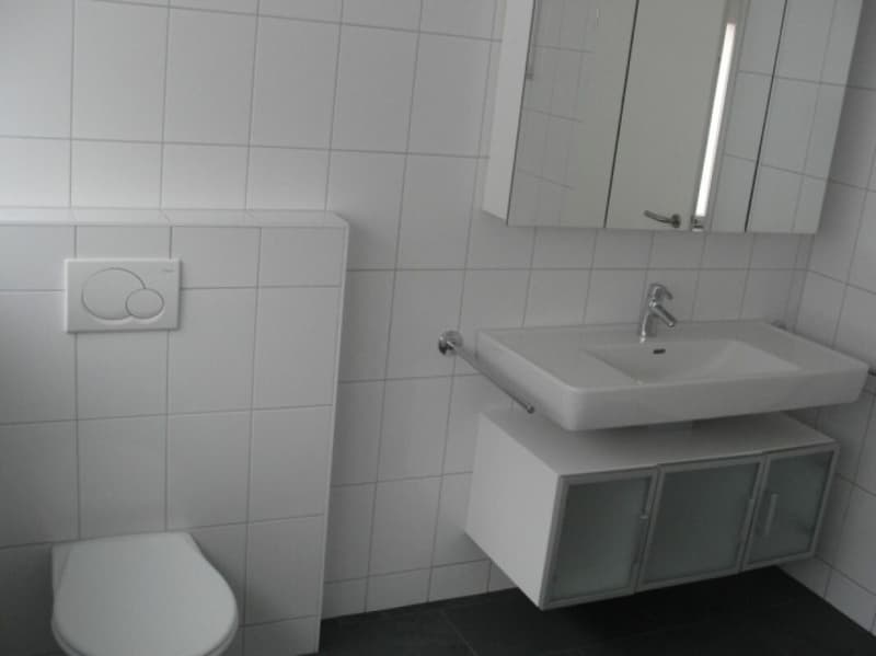 Grosszügige 4.5-Zimmer-Wohnung mit 115 m² Wohnfläche und zwei Badezimmern (11)