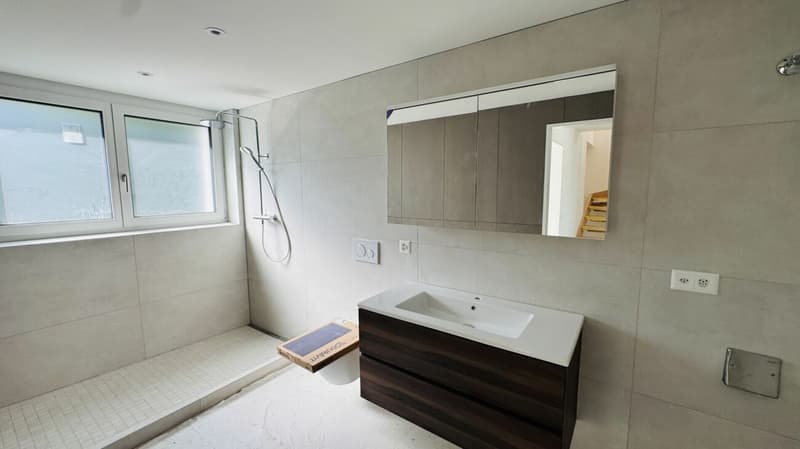 Neu ausgebaute 3.5- und 4.5-Zimmer-Wohnungen - separat oder zusammen kaufbar in Oberwil (15)