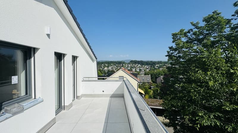 Neu ausgebaute 3.5- und 4.5-Zimmer-Wohnungen - separat oder zusammen kaufbar in Oberwil (7)
