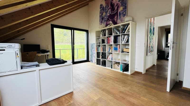 Exklusives Anwesen mit Villa, Nebenhaus, separater Wohneinheit, Praxis, Einstellhalle, Pool u. v. m. (28)