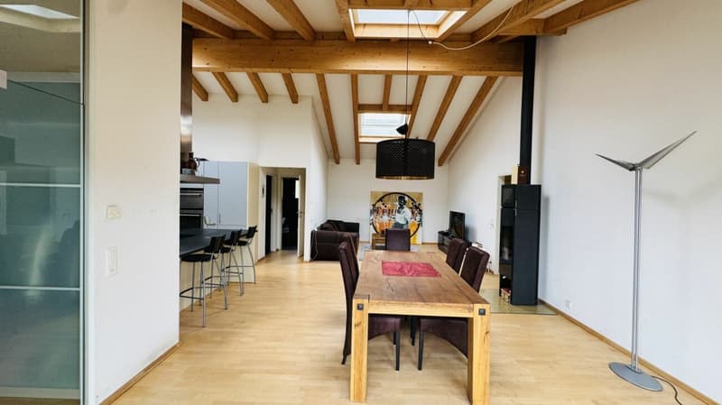 Exklusives Anwesen mit Villa, Nebenhaus, separater Wohneinheit, Praxis, Einstellhalle, Pool u. v. m. (14)