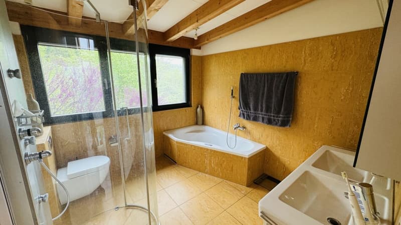 Exklusives Anwesen mit Villa, Nebenhaus, separater Wohneinheit, Praxis, Einstellhalle, Pool u. v. m. (30)
