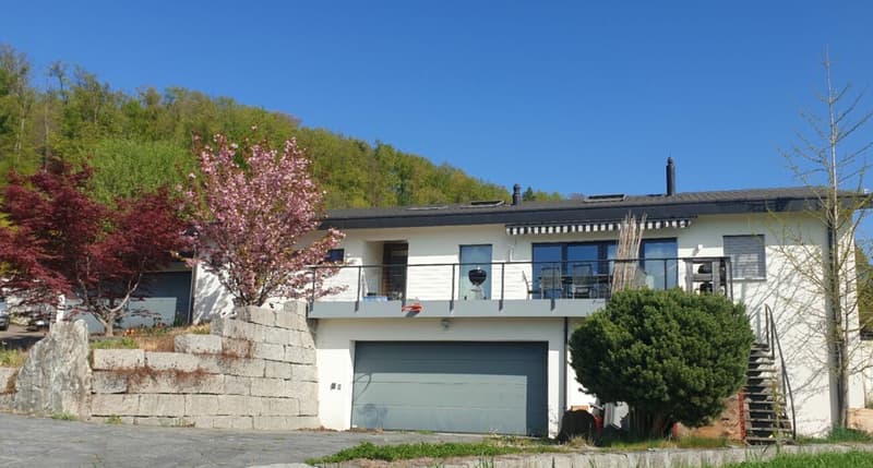 Exklusives Anwesen mit Villa, Nebenhaus, separater Wohneinheit, Praxis, Einstellhalle, Pool u. v. m. (33)