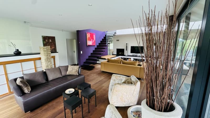 Exklusives Anwesen mit Villa, Nebenhaus, separater Wohneinheit, Praxis, Einstellhalle, Pool u. v. m. (24)