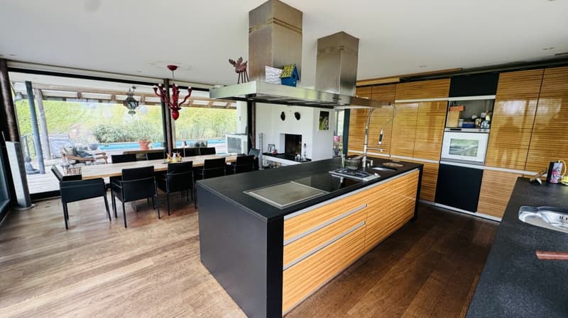 Exklusives Anwesen mit Villa, Nebenhaus, separater Wohneinheit, Praxis, Einstellhalle, Pool u. v. m. (4)