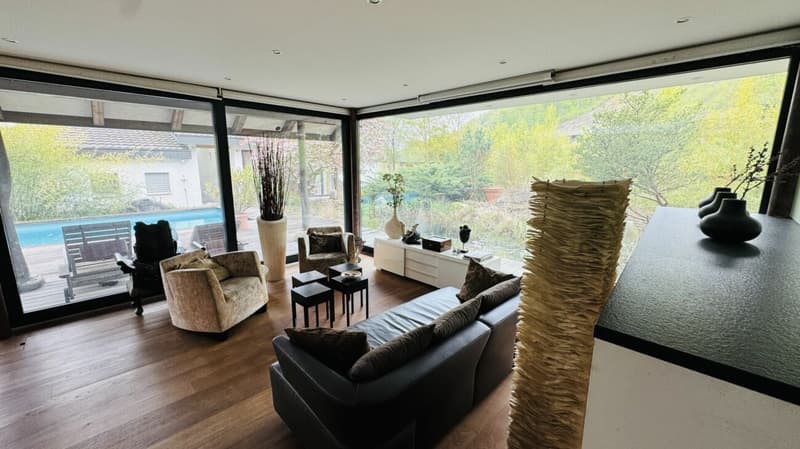 Exklusives Anwesen mit Villa, Nebenhaus, separater Wohneinheit, Praxis, Einstellhalle, Pool u. v. m. (25)