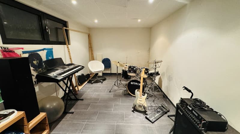 Exklusives Anwesen mit Villa, Nebenhaus, separater Wohneinheit, Praxis, Einstellhalle, Pool u. v. m. (21)