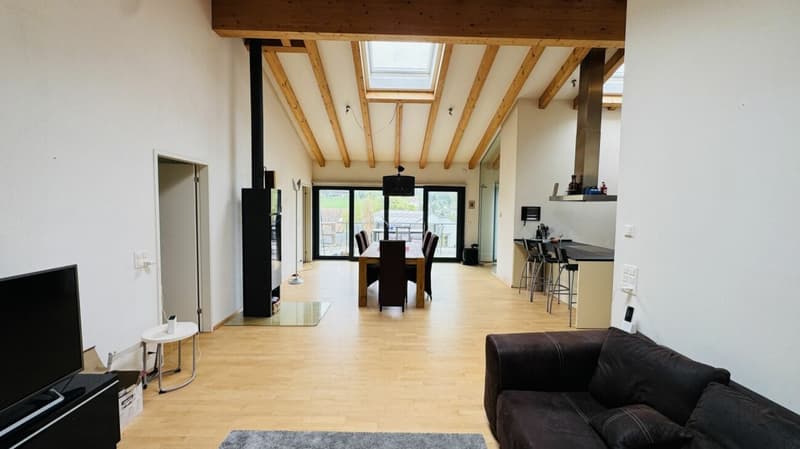 Exklusives Anwesen mit Villa, Nebenhaus, separater Wohneinheit, Praxis, Einstellhalle, Pool u. v. m. (3)