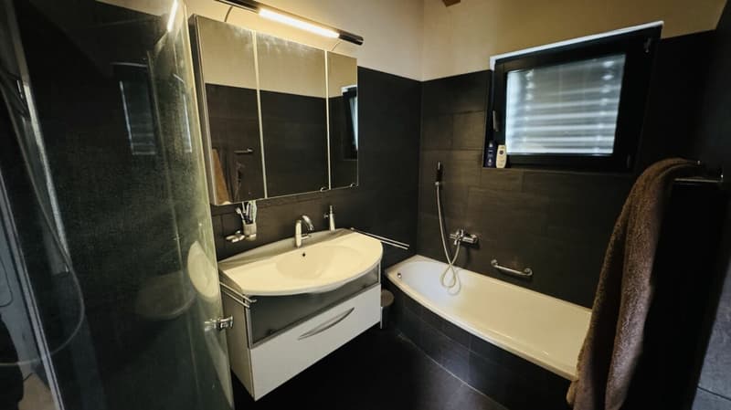 Exklusives Anwesen mit Villa, Nebenhaus, separater Wohneinheit, Praxis, Einstellhalle, Pool u. v. m. (6)