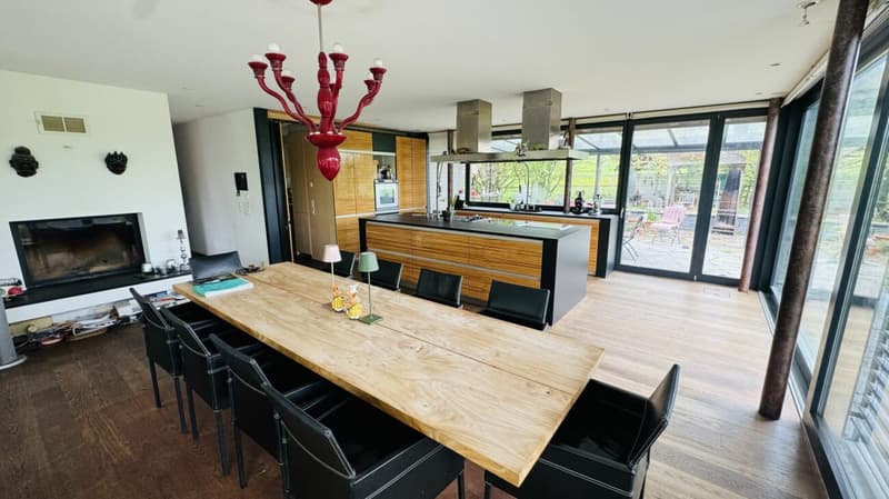Exklusives Anwesen mit Villa, Nebenhaus, separater Wohneinheit, Praxis, Einstellhalle, Pool u. v. m. (26)