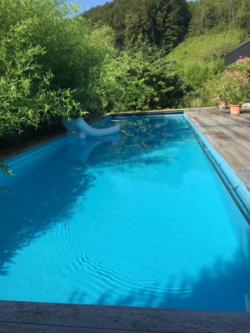 Exklusives Anwesen mit Villa, Nebenhaus, separater Wohneinheit, Praxis, Einstellhalle, Pool u. v. m. (7)