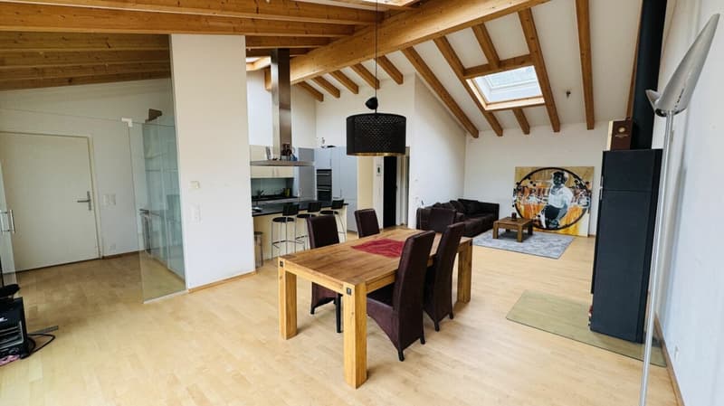 Exklusives Anwesen mit Villa, Nebenhaus, separater Wohneinheit, Praxis, Einstellhalle, Pool u. v. m. (13)