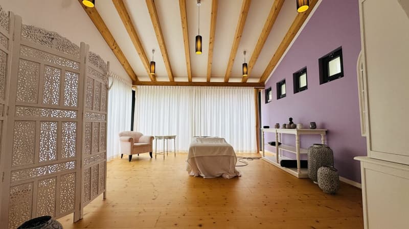 Exklusives Anwesen mit Villa, Nebenhaus, separater Wohneinheit, Praxis, Einstellhalle, Pool u. v. m. (15)