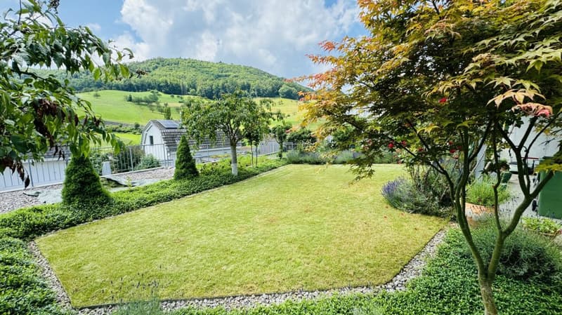 Wunderschönes 5.5-Zimmer Doppelhaus mit Garten, Sitzplatz, Balkon und 2 Parkplätzen (1)