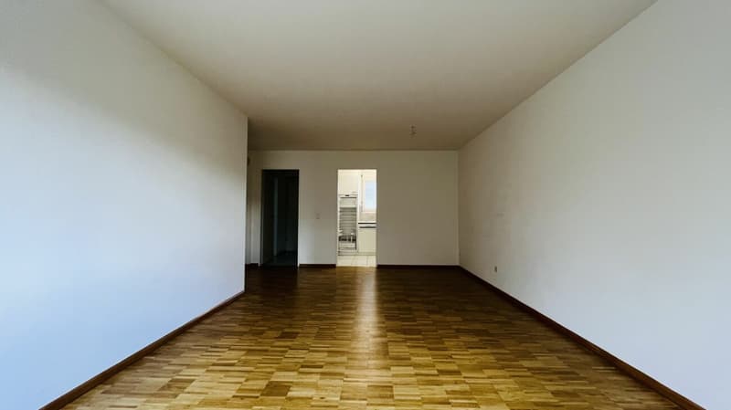 Attraktive 2-Zimmerwohnung mit Lift, Tiefgaragenplätzen und mehr in Aesch - Ideal für Investoren und Singles (7)