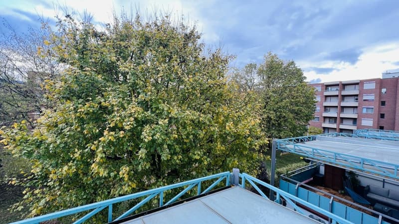 Attraktive 2-Zimmerwohnung mit Lift, Tiefgaragenplätzen und mehr in Aesch - Ideal für Investoren und Singles (11)