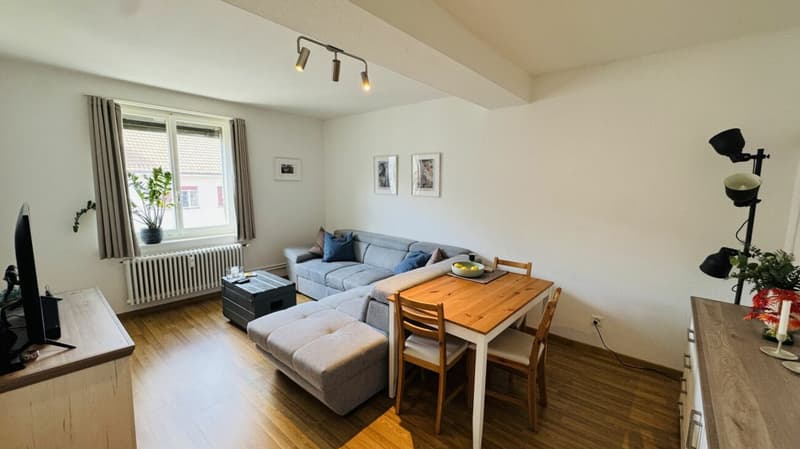 Neuwertige 3-Zimmerwohnung im 4. OG ohne Lift und ohne Balkon - mit eigener WM/TU (3)