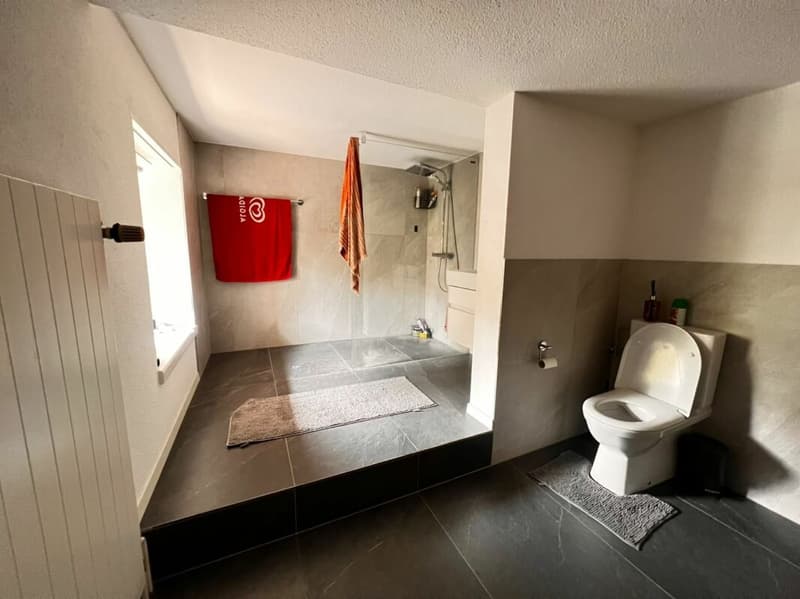 Grosszügige 3.5-Zimmer-Wohnung mit Garage & Top-Verkehrsanbindung in Othmarsingen (2)