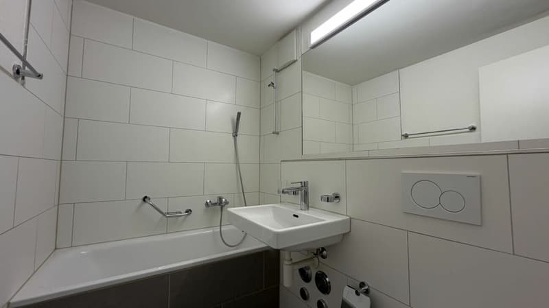 Neu renovierte 3.5-Zimmer-Wohnung mit grossem privatem Sitzplatz - Wohnen in attraktiver Basler Lage (5)