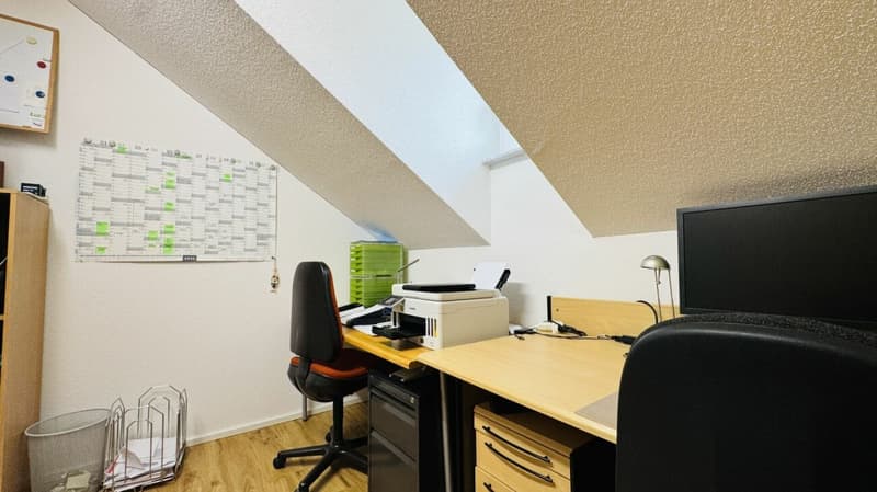 SELTENE GELEGENHEIT: 3-FAMILIENHAUS MIT WERKSTATT, SCHOPF & 16 PARKPLÄTZEN (9)