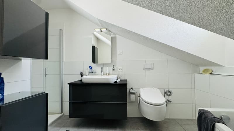 SELTENE GELEGENHEIT: 3-FAMILIENHAUS MIT WERKSTATT, SCHOPF & 16 PARKPLÄTZEN (12)
