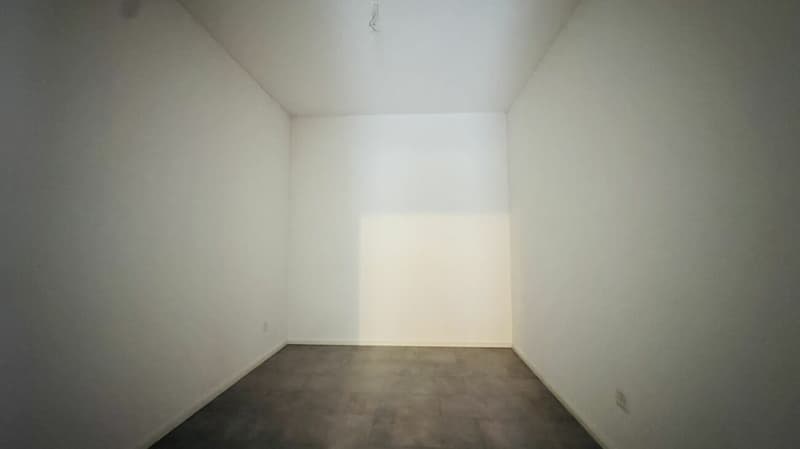 SELTENE GELEGENHEIT: 3-FAMILIENHAUS MIT WERKSTATT, SCHOPF & 16 PARKPLÄTZEN (20)