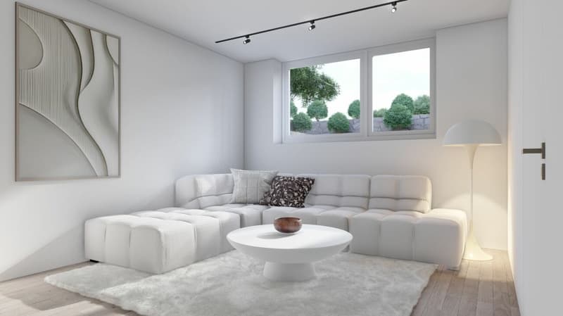 155 m2 Grosses Neubau-DEFH (Haus B), 6.5 DEFH, 3 Nasszellen, Garten, Sitzplatz, Carport & PP (8)