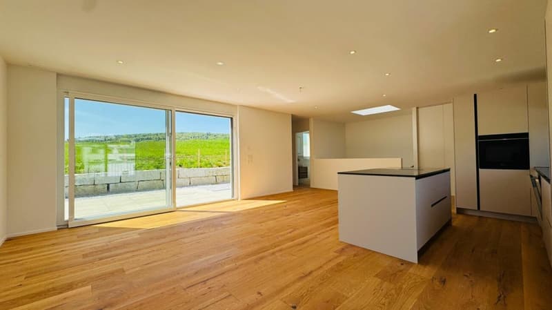 Neubau-Doppelhaushälfte in Laufen (BL) in ruhiger Lage mit optimaler Infrastruktur (3)