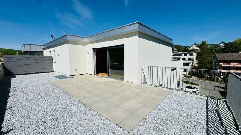 Neubau-Doppelhaushälfte in Laufen (BL) in ruhiger Lage mit optimaler Infrastruktur (1)
