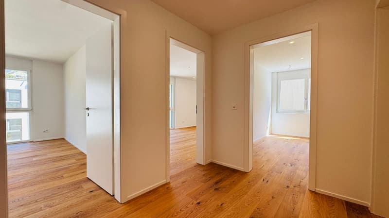 Neubau-Doppelhaushälfte in Laufen (BL) in ruhiger Lage mit optimaler Infrastruktur (6)