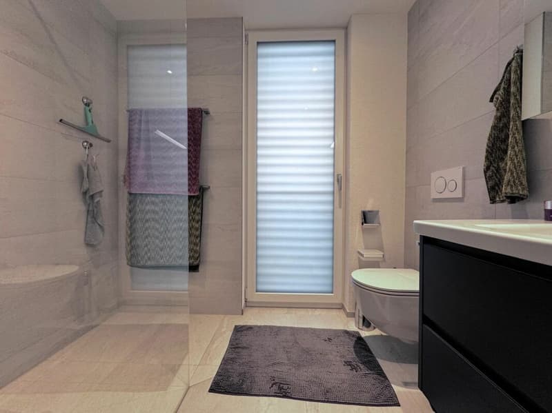 Moderne 3.5-Zimmer-Attikawohnung mit 66 m² Terrasse (10)