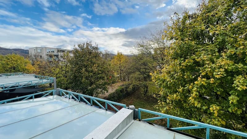 Attraktive 2-Zimmerwohnung mit Lift, Tiefgaragenplätzen und mehr in Aesch - Ideal für Investoren und Singles (9)