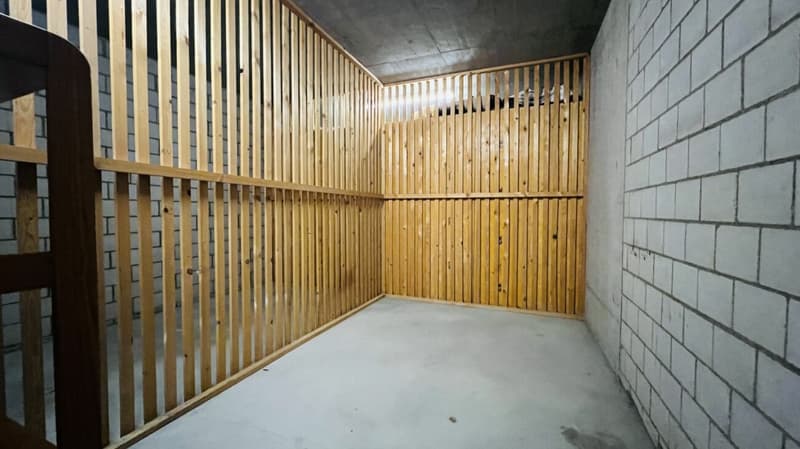 Attraktive 2-Zimmerwohnung mit Lift, Tiefgaragenplätzen und mehr in Aesch - Ideal für Investoren und Singles (11)