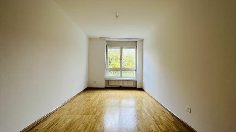 Attraktive 2-Zimmerwohnung mit Lift, Tiefgaragenplätzen und mehr in Aesch - Ideal für Investoren und Singles (7)