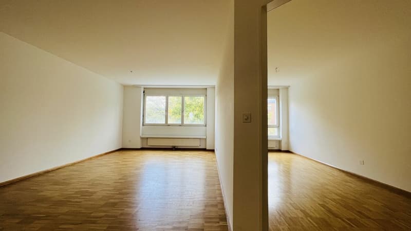 Attraktive 2-Zimmerwohnung mit Lift, Tiefgaragenplätzen und mehr in Aesch - Ideal für Investoren und Singles (5)