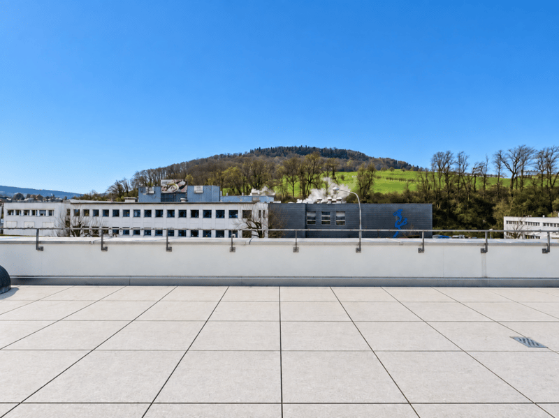 Exklusive, moderne 3.5-Zimmer-Attikawohnung mit grosser Terrasse & Waschturm (2)