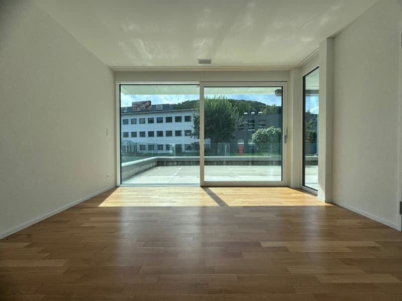 Exklusive moderne 4.5-Zimmer-Wohnung mit grosser Terrasse & Waschturm (7)
