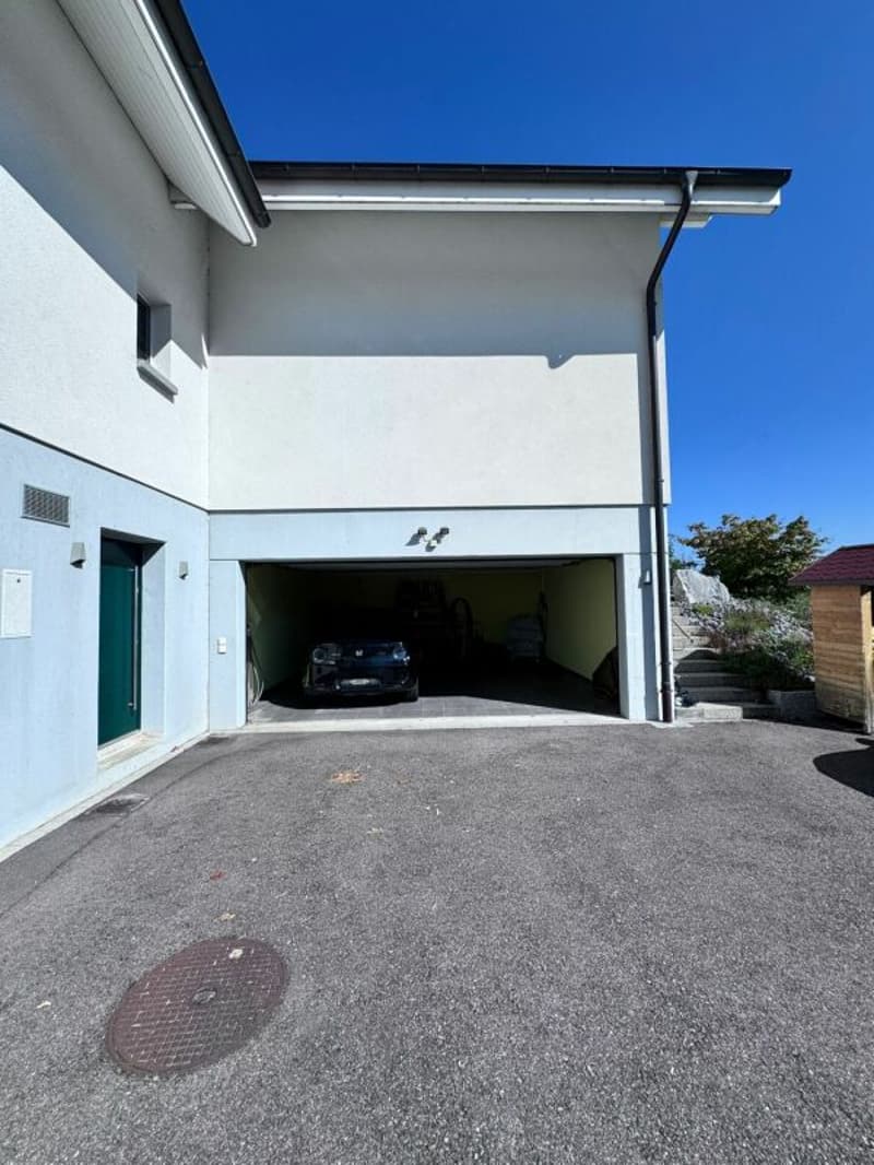 Grosses, neuwertiges 6.5-Zi. EFH, 6 Garagenplätze + 4 Parkplätze, Koi-Teich, Kinozimmer, 3 Nasszellen, traumhafte Lage, nur 10 Min. von Bubendorf (53)