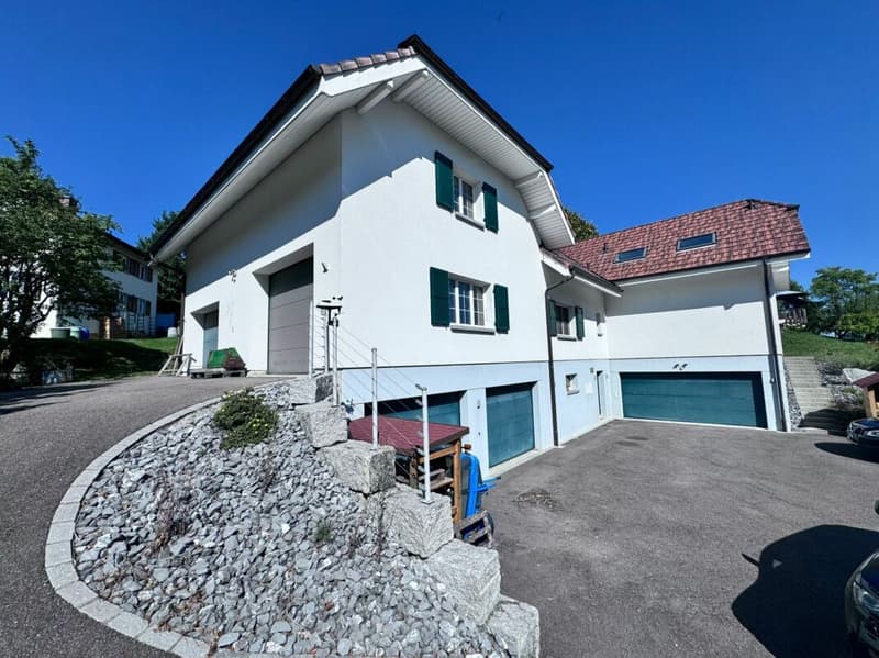 Grosses, neuwertiges 6.5-Zi. EFH, 6 Garagenplätze + 4 Parkplätze, Koi-Teich, Kinozimmer, 3 Nasszellen, traumhafte Lage, nur 10 Min. von Bubendorf (48)
