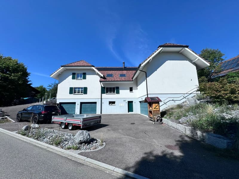 Grosses, neuwertiges 6.5-Zi. EFH, 6 Garagenplätze + 4 Parkplätze, Koi-Teich, Kinozimmer, 3 Nasszellen, traumhafte Lage, nur 10 Min. von Bubendorf (9)