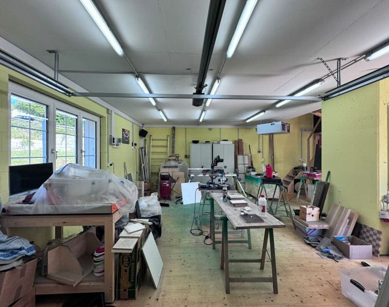 Grosses, neuwertiges 6.5-Zi. EFH, 6 Garagenplätze + 4 Parkplätze, Koi-Teich, Kinozimmer, 3 Nasszellen, traumhafte Lage, nur 10 Min. von Bubendorf (12)