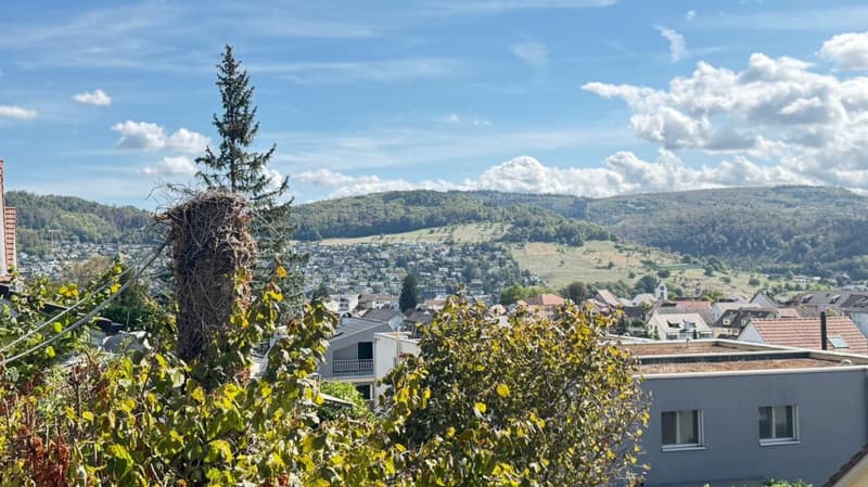 Freistehendes Einfamilienhaus mit grosser Aussichtsterrasse in Frenkendorf (12)