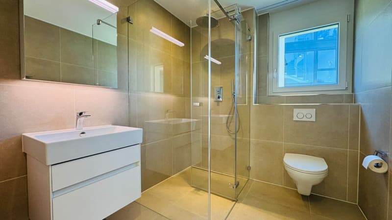 Nachmieter gesucht per 1.12.2026 - neuwertige 2.5-Zimmer-Wohnung in Reinach (1)