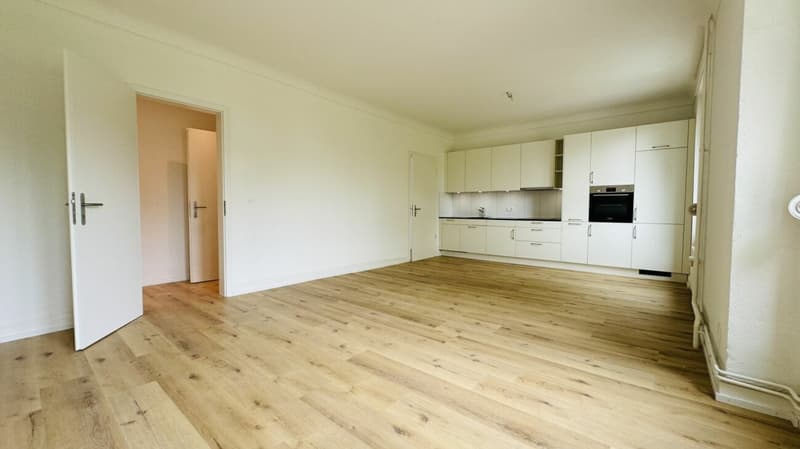 Wunderschöne neuwertige 3.5-Zimmerwohnung (w5) mit Balkon, eigener Waschmaschine, Kellerabteil (ohne Lift) (1)