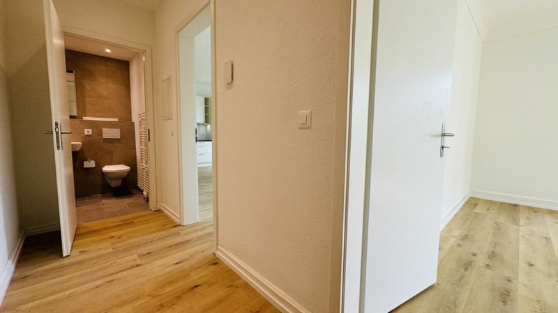 Wunderschöne neuwertige 3.5-Zimmerwohnung (w5) mit Balkon, eigener Waschmaschine, Kellerabteil (ohne Lift) (4)
