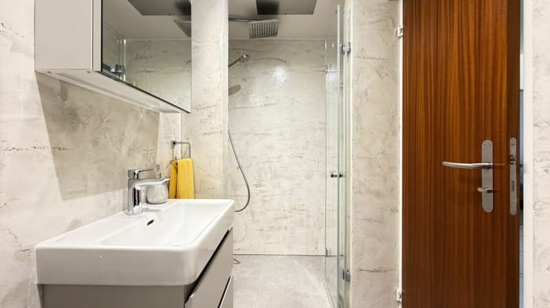 4.5-Zimmer, Terrasse, 2 Nasszellen, Garagenbox, Sauna, Fitness & Partyraum (4)